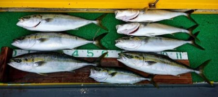 火遠理丸(ほおりまる) 釣果