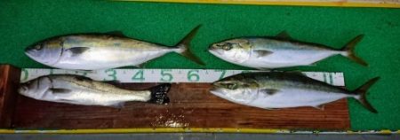 火遠理丸(ほおりまる) 釣果