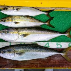 火遠理丸(ほおりまる) 釣果