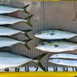 火遠理丸(ほおりまる) 釣果