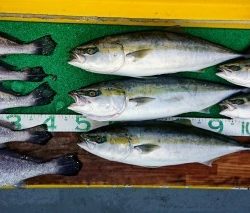 火遠理丸(ほおりまる) 釣果