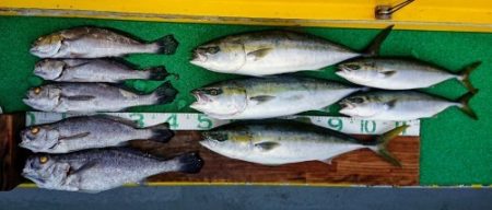 火遠理丸(ほおりまる) 釣果