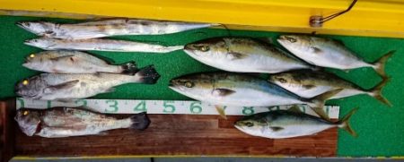 火遠理丸(ほおりまる) 釣果