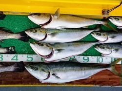 火遠理丸(ほおりまる) 釣果