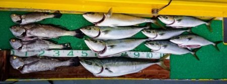 火遠理丸(ほおりまる) 釣果