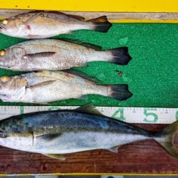 火遠理丸(ほおりまる) 釣果