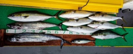 火遠理丸(ほおりまる) 釣果