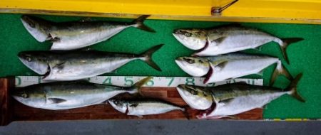 火遠理丸(ほおりまる) 釣果