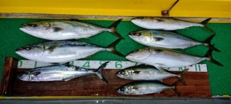 火遠理丸(ほおりまる) 釣果