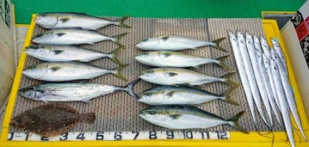 火遠理丸(ほおりまる) 釣果