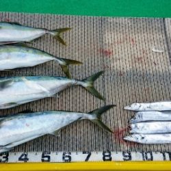 火遠理丸(ほおりまる) 釣果