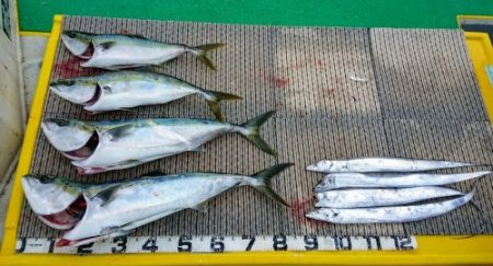 火遠理丸(ほおりまる) 釣果