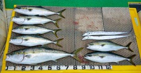 火遠理丸(ほおりまる) 釣果