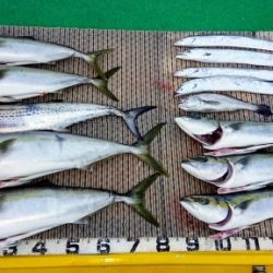 火遠理丸(ほおりまる) 釣果