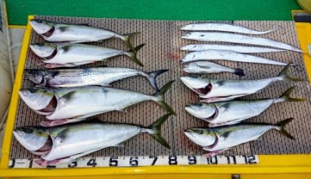 火遠理丸(ほおりまる) 釣果