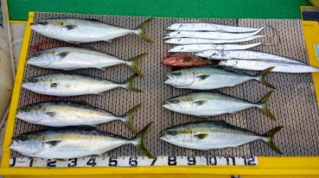 火遠理丸(ほおりまる) 釣果