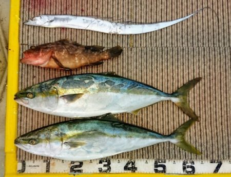 火遠理丸(ほおりまる) 釣果