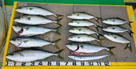 火遠理丸（ほおりまる） 釣果