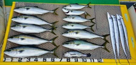 火遠理丸（ほおりまる） 釣果