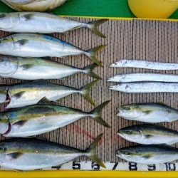 火遠理丸（ほおりまる） 釣果