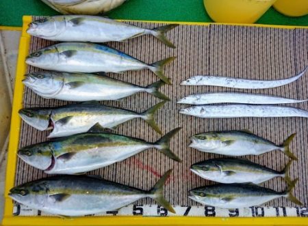 火遠理丸（ほおりまる） 釣果