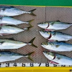 火遠理丸（ほおりまる） 釣果