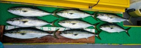 火遠理丸（ほおりまる） 釣果