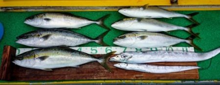 火遠理丸(ほおりまる) 釣果