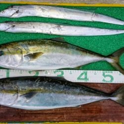 火遠理丸(ほおりまる) 釣果