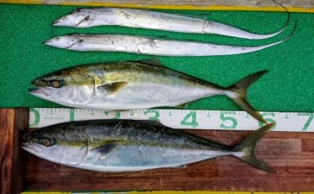 火遠理丸(ほおりまる) 釣果