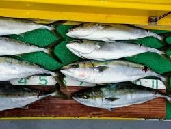 火遠理丸(ほおりまる) 釣果