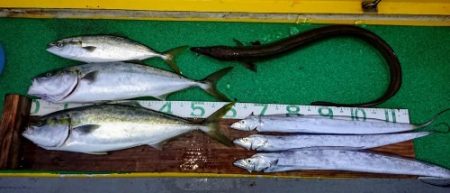 火遠理丸(ほおりまる) 釣果