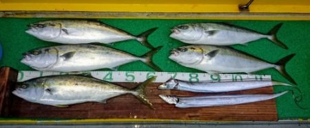 火遠理丸(ほおりまる) 釣果