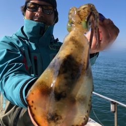 Magic(マジック) 釣果