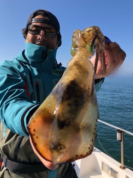 Magic(マジック) 釣果