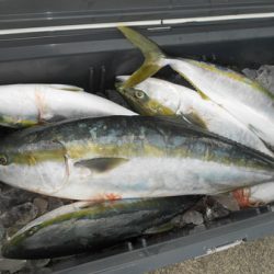 こうゆう丸 釣果