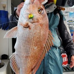 遊漁船 ニライカナイ 釣果