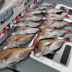 遊漁船 セトマリン 釣果