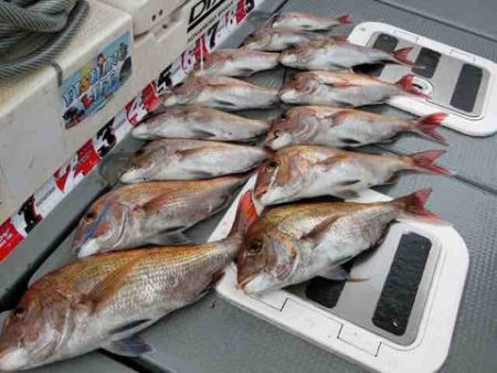 遊漁船 セトマリン 釣果