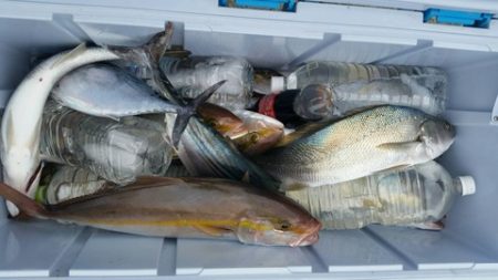 第五慶門丸 釣果