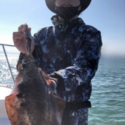 Magic(マジック) 釣果