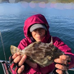 Magic（マジック） 釣果