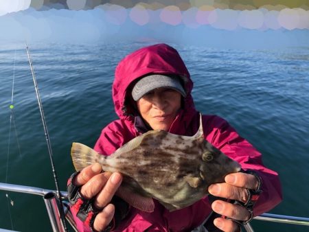 Magic（マジック） 釣果