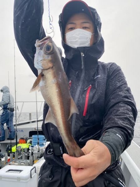 へいみつ丸 釣果