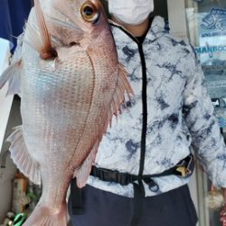 遊漁船 ニライカナイ 釣果