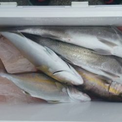 第五慶門丸 釣果