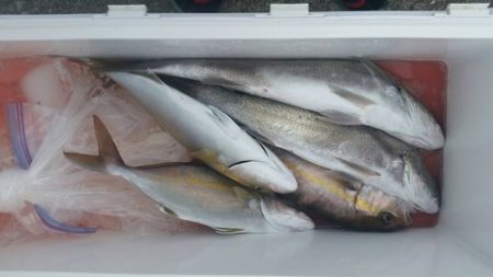 第五慶門丸 釣果