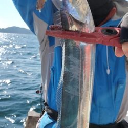 遊漁船 ニライカナイ 釣果