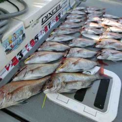 遊漁船 セトマリン 釣果