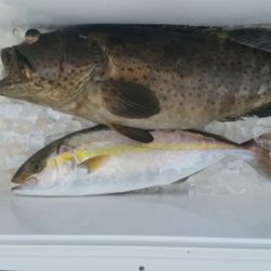 第五慶門丸 釣果